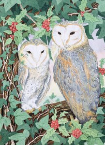 Barn Owls by Suzanne Bailey